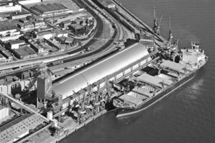 中国农业走出去步伐加快 渐形成买全球卖全球格局