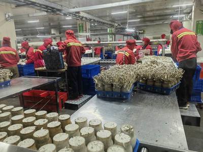 市农业农村局局长于灵才带队赴厦门开展招商引资 促进农业贸易合作