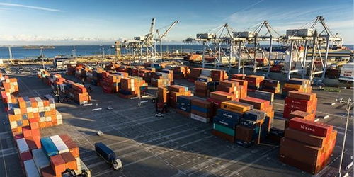 全球贸易受阻中的破冰之举 阿里巴巴国际站“春雷计划”与线上展会引领新航向